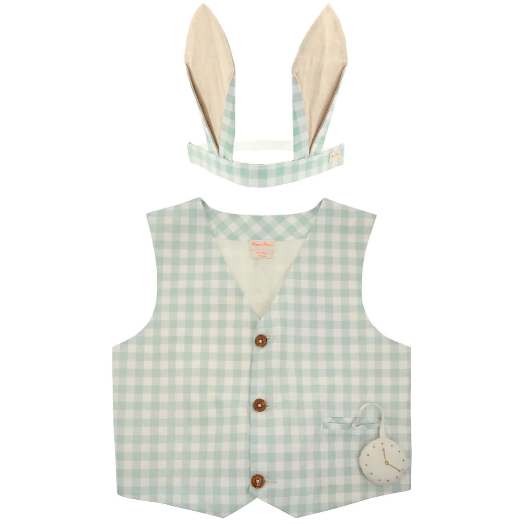 Meri Meri Gingham Bunny Costume