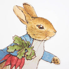 Load image into Gallery viewer, Meri Meri Peter Rabbit Egg Hunt Kit
